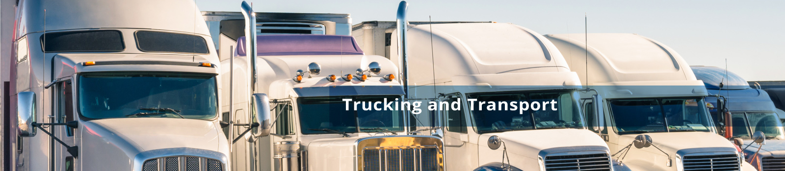 Trucking and Transport